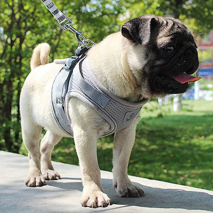 Vest Harness